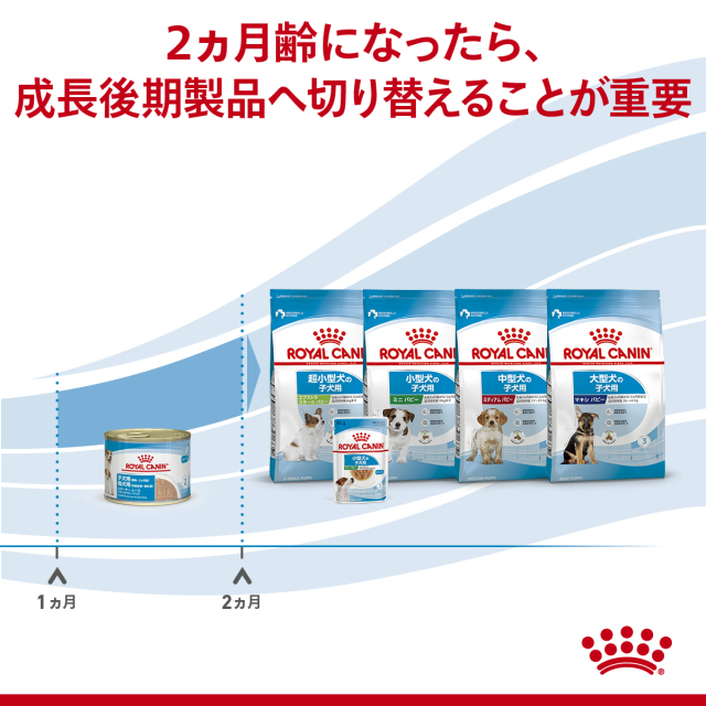 ロイヤルカナン スタータームース マザー&ベビードッグ (子犬