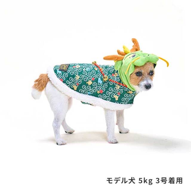 お正月ポンチョ（竜）