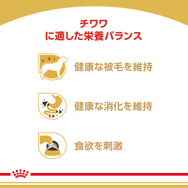 RCチワワウェット