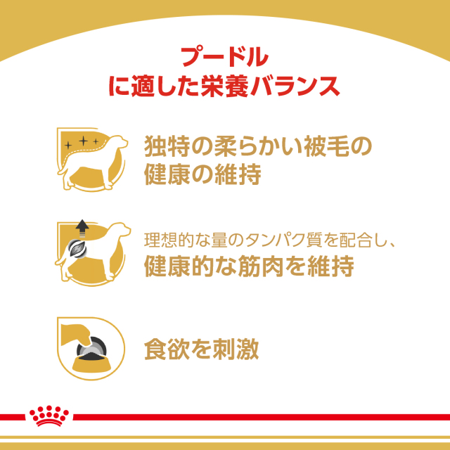 RCプードルウェット