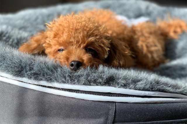 アンビエントラウンジ