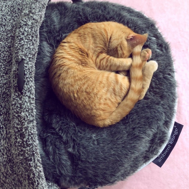 アンビエントラウンジ