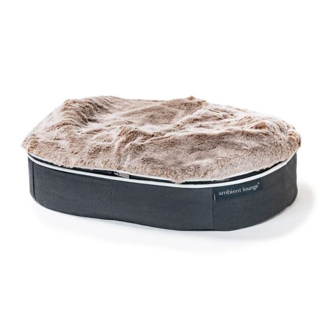 アンビエントラウンジ