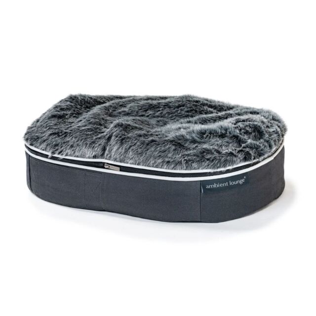 アンビエントラウンジ