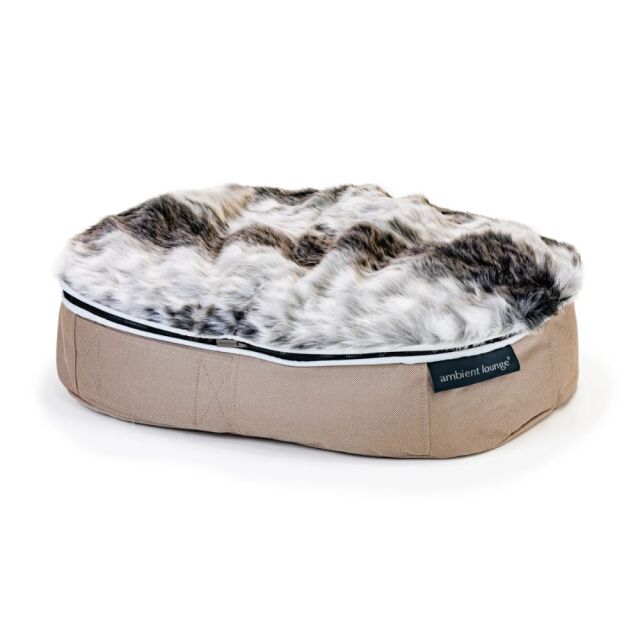 アンビエントラウンジ