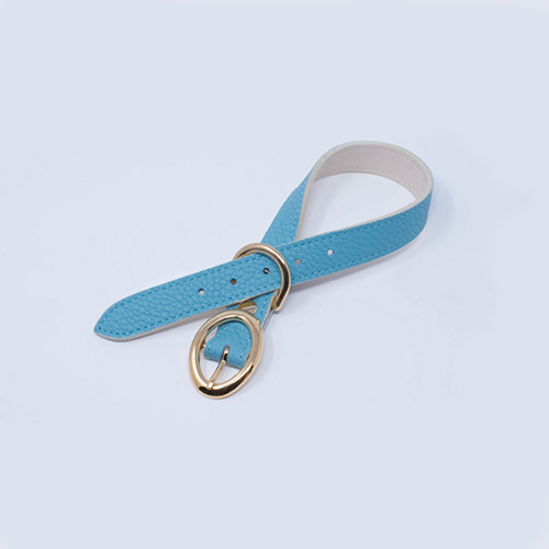 【a-cube】犬用 カラー（首輪） SHRINK / ブルーアトール