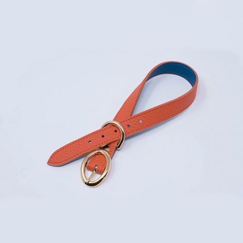 【a-cube】犬用 カラー（首輪） SHRINK /オレンジ