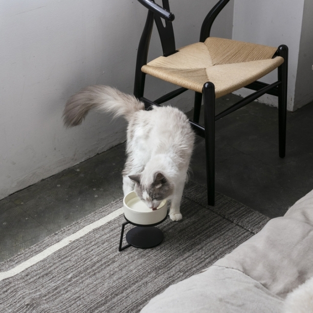 &CAT】TATARA（ウォーターボウル） Pets-first ONLINESTORE