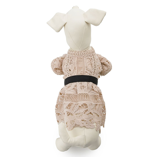 CELFORD DOG&CAT】レースワンピース Pets-first ONLINESTORE