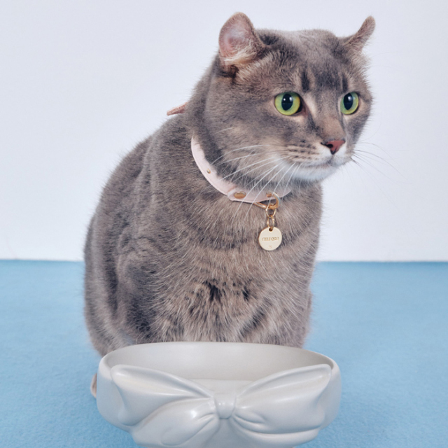 【CELFORD　DOG&CAT】【リュタン】ビジュースタッズ小型犬首輪