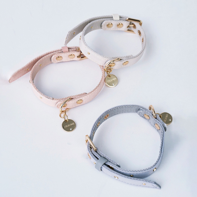 【CELFORD　DOG&CAT】【リュタン】ビジュースタッズ小型犬首輪