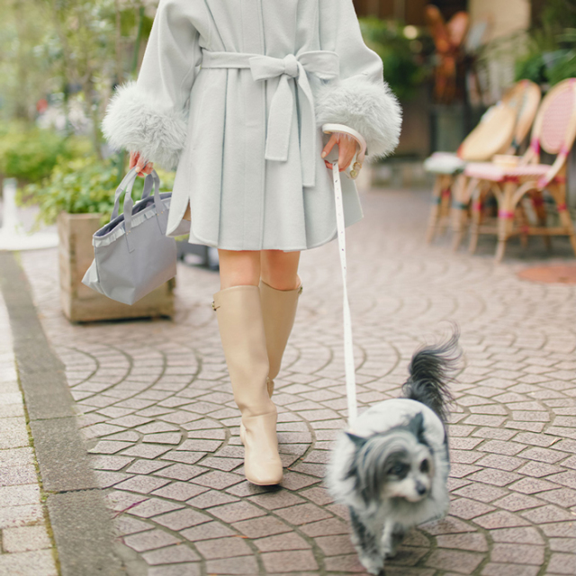 【CELFORD　DOG&CAT】【リュタン】ビジュースタッズリード