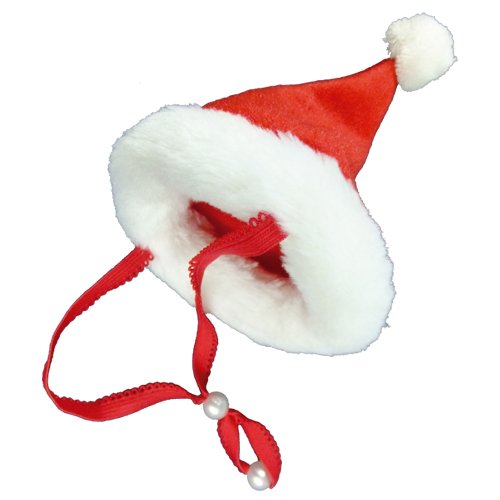 【2025年クリスマス】サンタ帽