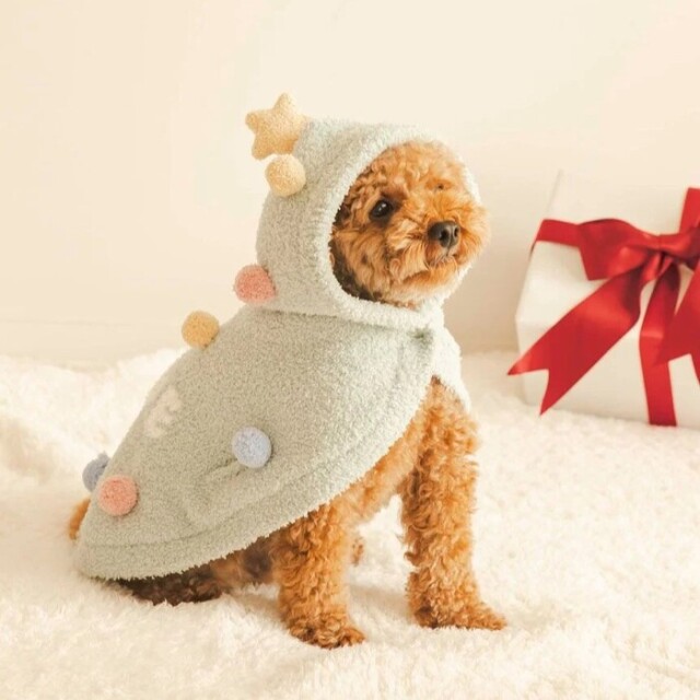 CH2407-4.jpg?t=20241112153230