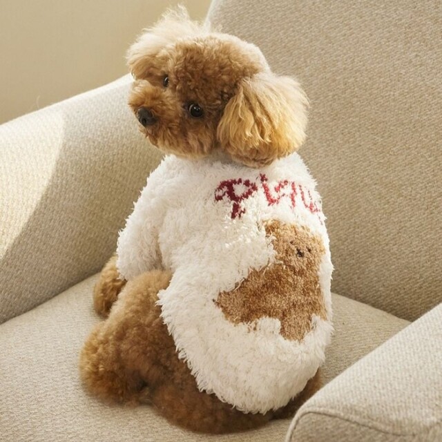 gelato pique ジェラートスノーベアジャガードプルオーバー Pets-first