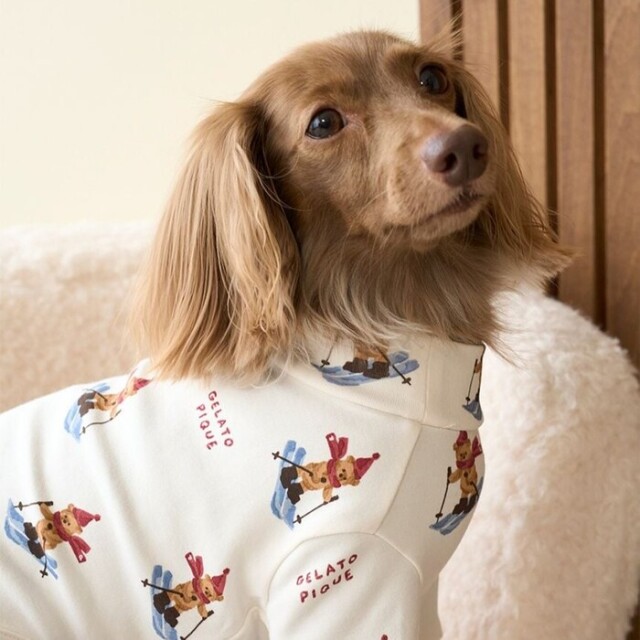 KENSHO ABE　犬柄ファー付きスキーウェア gelato pique スキーベア柄カットソー Pets-first ONLINESTORE