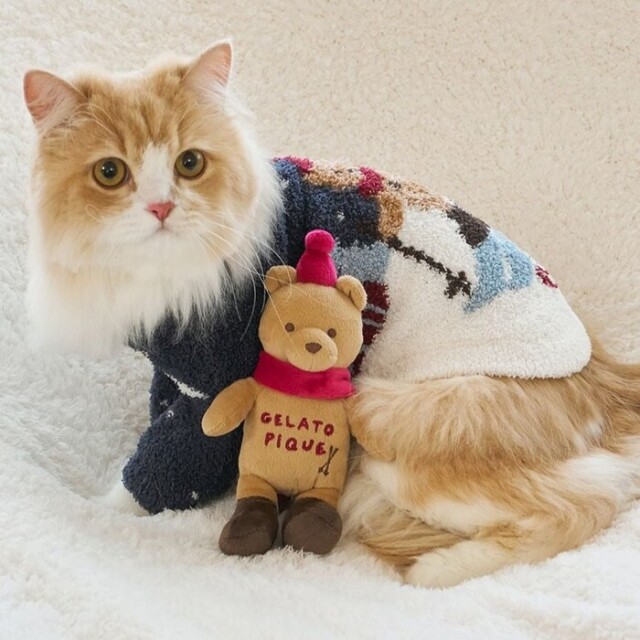 gelato pique スキーベアジャガードプルオーバー Pets-first ONLINESTORE
