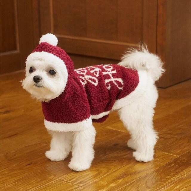 gelato pique ベビモコサンタケープ ☆ Pets-first ONLINESTORE