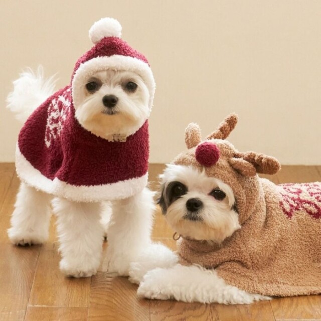 【セット売り】2025 ジェラピケ ベビモコサンタケープ S / トナカイ M gelato pique ベビモコサンタケープ ☆ Pets-first ONLINESTORE