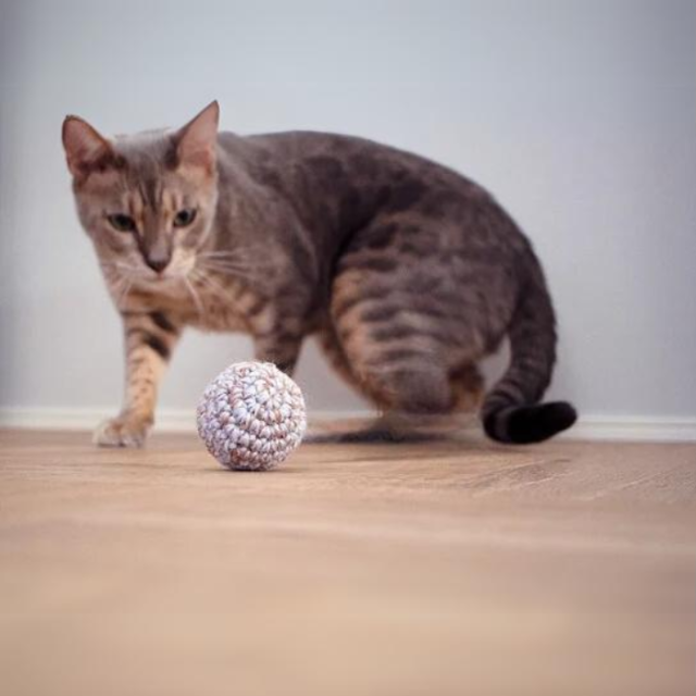 necono　ボールのおもちゃ メロディー 鈴入りニットボール