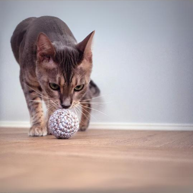 necono　ボールのおもちゃ メロディー 鈴入りニットボール