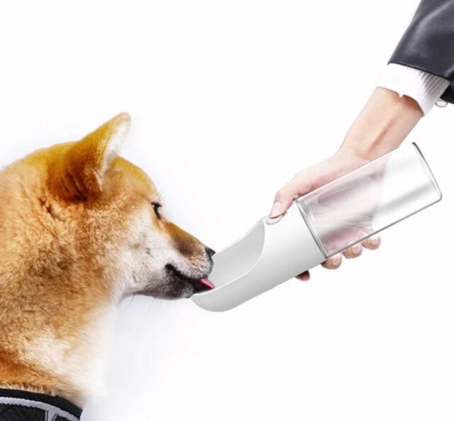 ワンタッチ・ウォーターボトル 300ml