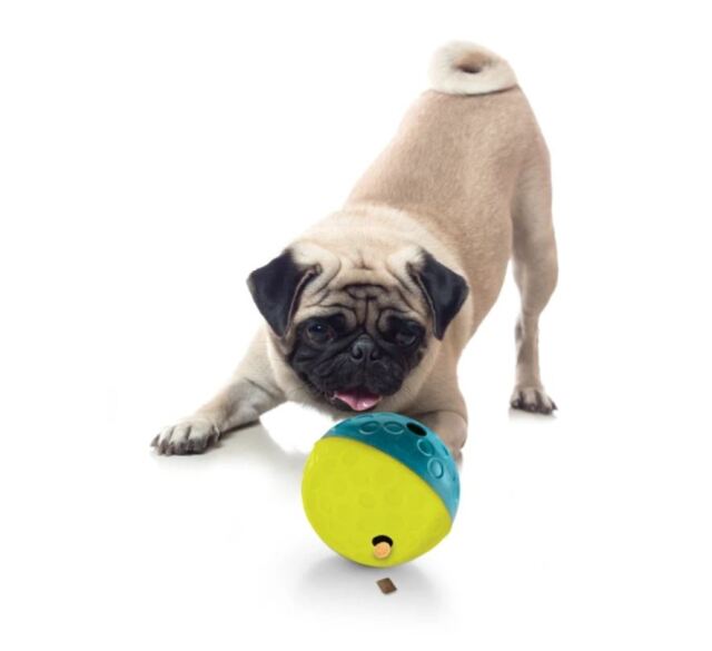 トリーツ・タンブルボール/S/ブルー