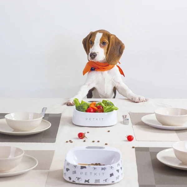 スケール・フィーディングボウル