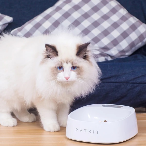 スケール・フィーディングボウル