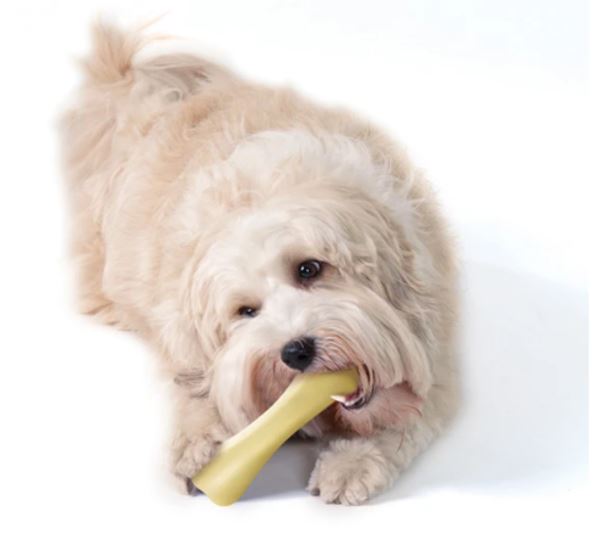 チキン・ボーン