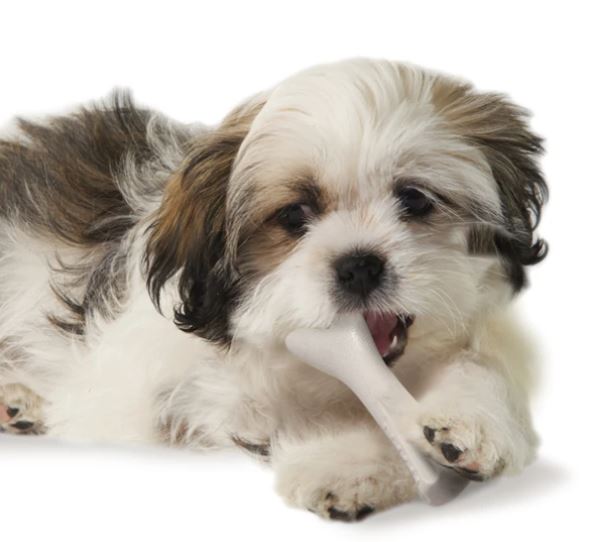 ディアー・ホーン