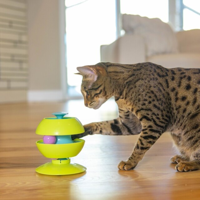 FAD フロントホールド・キャリー Pets-first ONLINESTORE