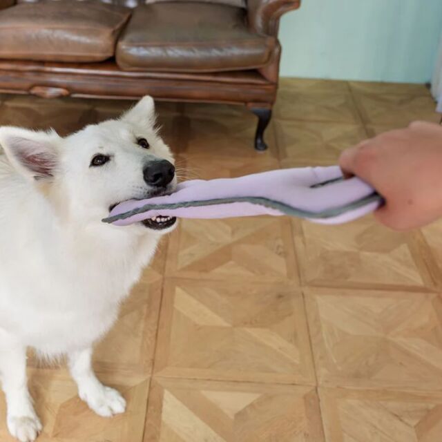 バリスティックトイ　タグ