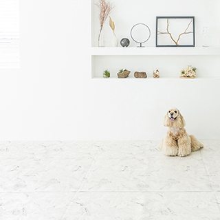 dfangディパン　ペット防水マット　マーブル2枚セット 140×240 dfang ペット専用防水クッションマット 折りたためるタイプ 140