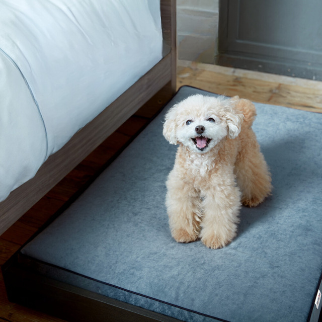 専用page〜★フランスアンティーク　ペット用　ベッド　バスケット＋マット フランスペット Pets-first ONLINESTORE