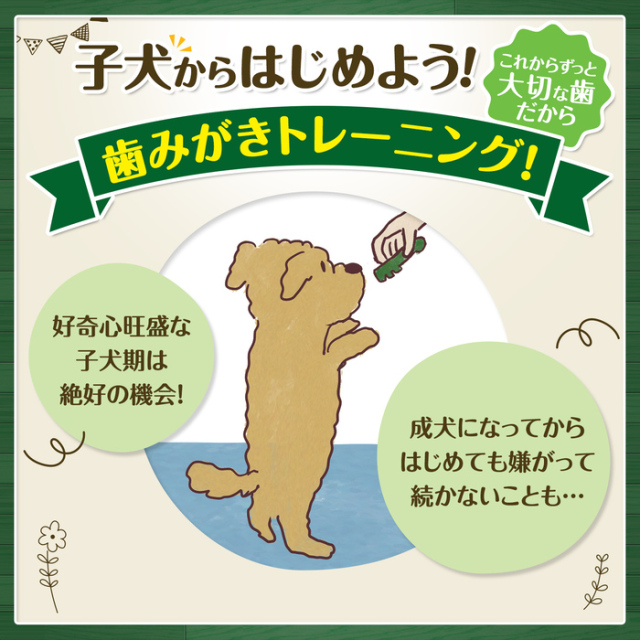 グリニーズ プラス 子犬用 歯みがきトレーニングガム Pets-first