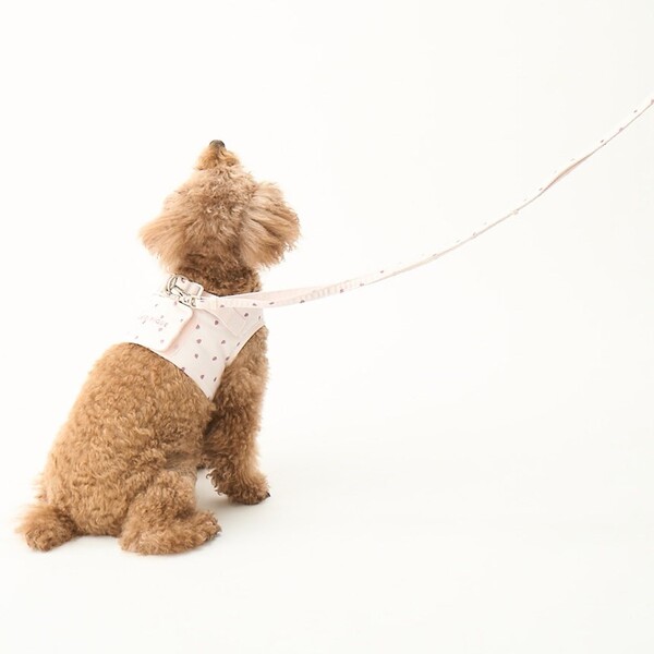gelato pique モチーフ柄リード Pets-first ONLINESTORE