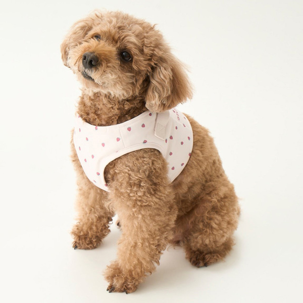 GELATO PIQUE ジェラートピケハーネス Sサイズ ピンク gelato pique モチーフ柄ハーネス/ピンク Pets-first ONLINESTORE