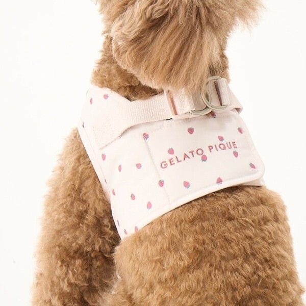 ジェラートピケ ジェラピケ gelato pique ハーネス M 犬 猫 ジェラートピケ gelato pique 【CAT&DOG】【販路限定商品