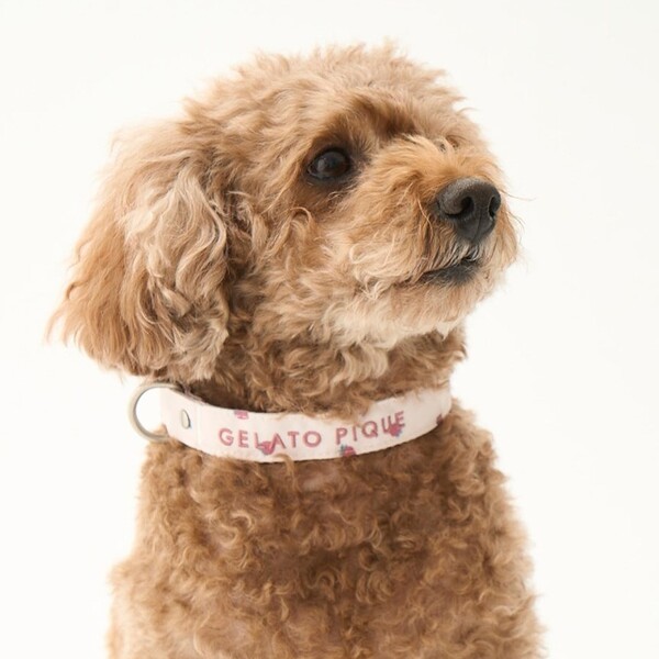 gelato pique モチーフ柄ハーネス/ベージュ Pets-first ONLINESTORE