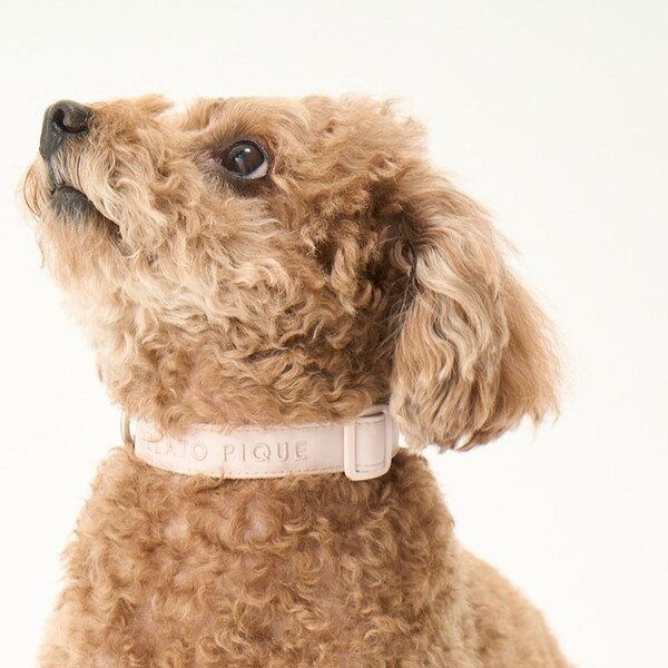GELATO PIQUE ジェラートピケハーネス Sサイズ ピンク gelato pique モチーフ柄ハーネス/ピンク Pets-first ONLINESTORE