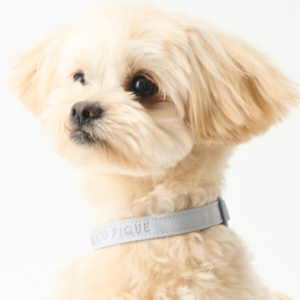 GELATO PIQUE ジェラートピケハーネス Sサイズ ピンク gelato pique モチーフ柄ハーネス/ピンク Pets-first ONLINESTORE