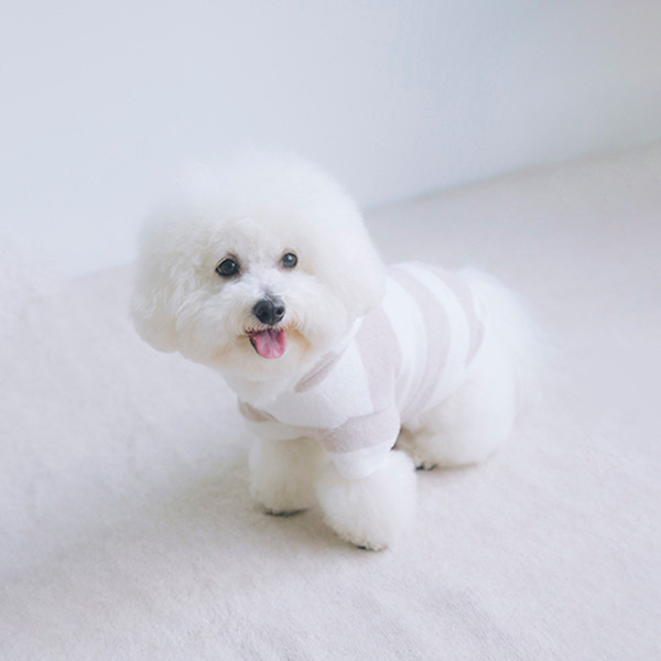 gelato pique スムーズィー2ボーダーdogパーカ/ベージュ Pets-first