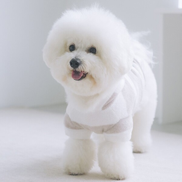 gelato pique スムーズィー2ボーダーdogパーカ/ベージュ Pets-first