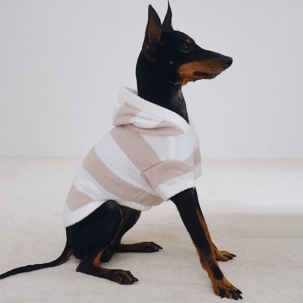 gelato pique スムーズィー2ボーダーdogパーカ/ベージュ Pets-first