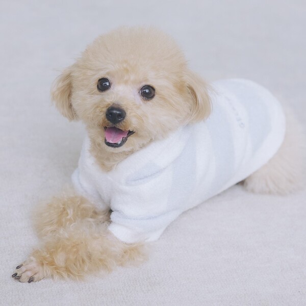 ジェラートピケ　スムーズィー2ボーダーdogパーカ　ブルーLサイズ CAT&DOG】【販路限定商品】スムーズィー2ボーダーdogパーカ