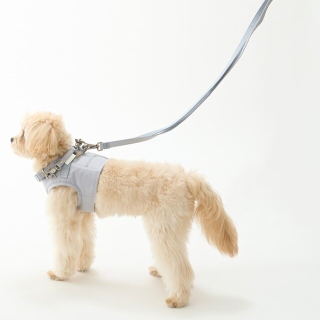ジェラピケ　小型犬用ハーネス&リード CAT&DOG】【販路限定商品】リード(ハーネス・リード)｜ルーム
