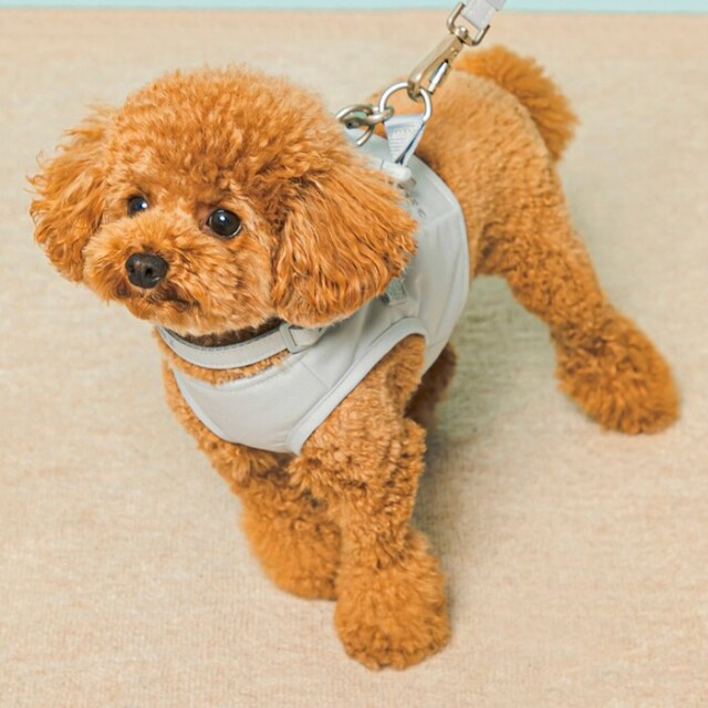 gelato pique ハーネス Pets-first ONLINESTORE