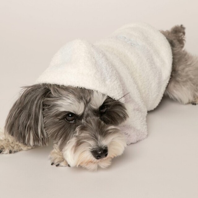 gelato pique ベビモコパステルボーダーフーディ Pets-first ONLINESTORE