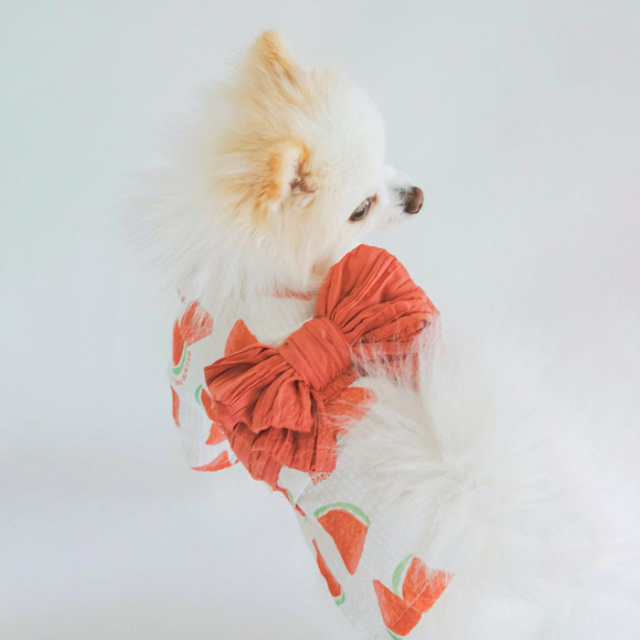 gelato pique（ジェラートピケ）【CAT&DOG】【販路限定商品
